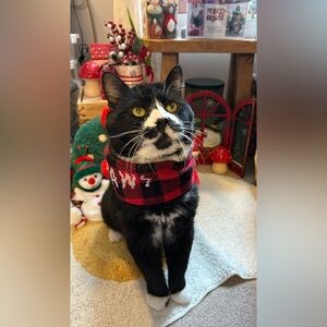 May may’s cute bundle